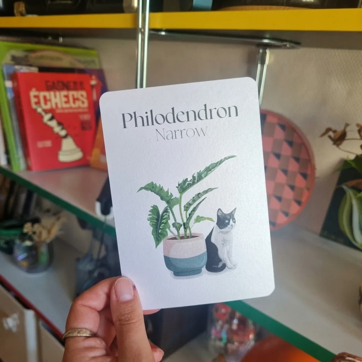 Détail de la carte aux angles arrondis avec texte Philodendron Narrow et dessin de chat.