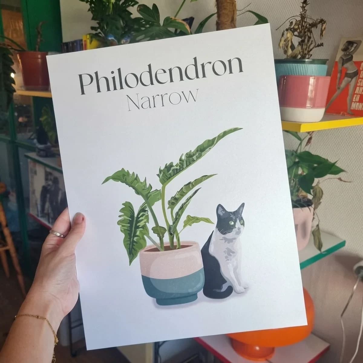 Vue rapprochée de l'illustration avec chat noir et blanc et plante philodendron sur fond blanc épuré.